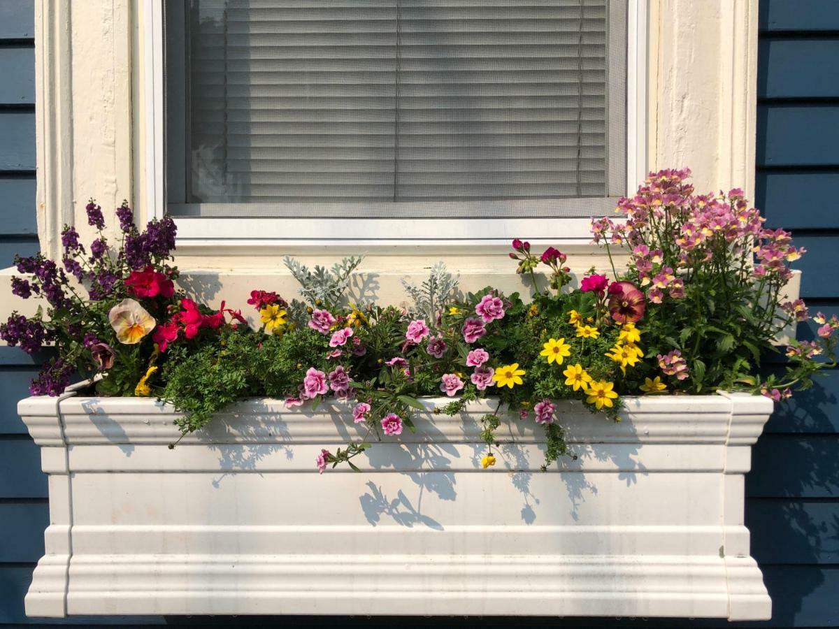 Northey Street House Bed & Breakfast Salem Exterior photo